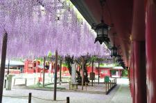 笠間稲荷神社