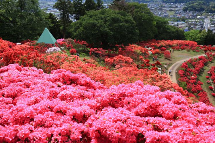 笠間つつじ公園