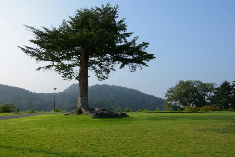 笠間つつじ公園