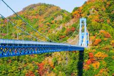 竜神大吊橋