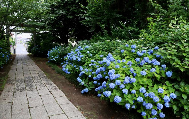 水戸八幡宮