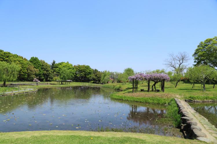 古河公方公園 古河総合公園 ドライブコンサルタント 古河公方公園 古河総合公園 ドライブコンサルタント