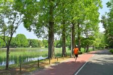 洞峰公園