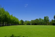 科学万博記念公園