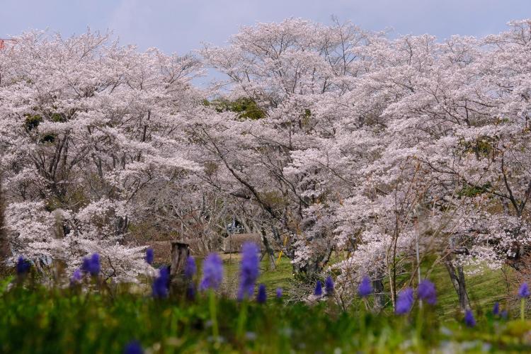 静峰ふるさと公園