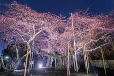 般若院