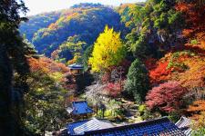 行道山浄因寺
