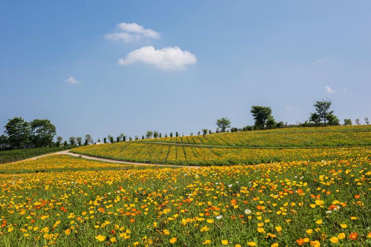 那須フラワーワールド