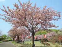 天平の丘公園