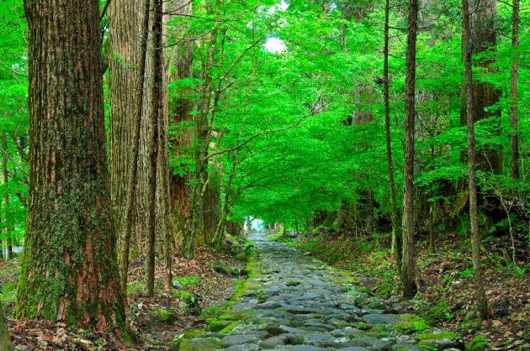 滝尾神社(日光)