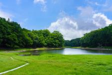 大沼公園