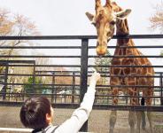 宇都宮動物園