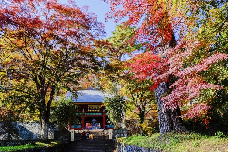 妙義神社