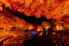 桜山公園