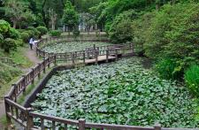 吾妻公園