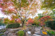 宝徳寺