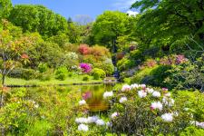 赤城自然園