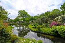 赤城自然園