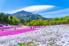 羊山公園
