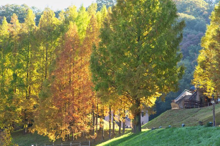 あけぼの子どもの森公園