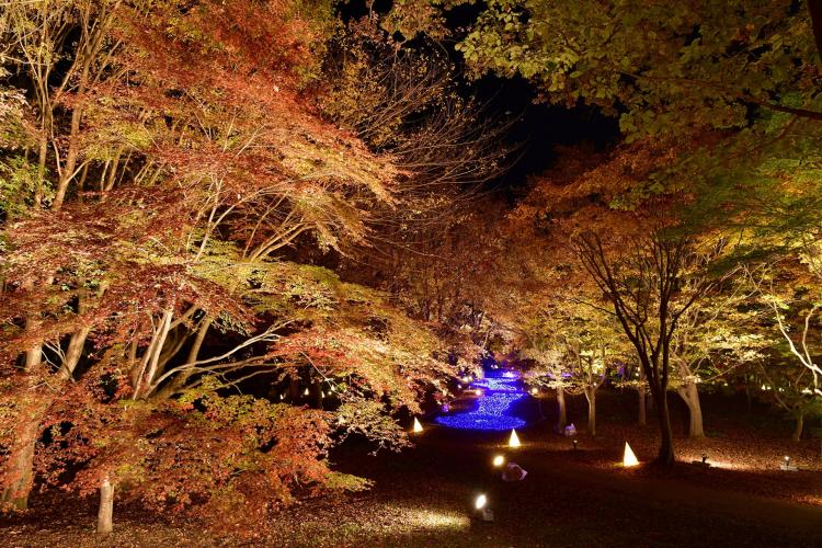 国営武蔵丘陵森林公園