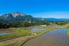 寺坂棚田