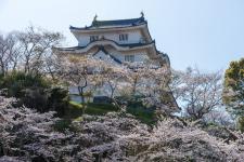 大多喜城（千葉県立中央博物館）