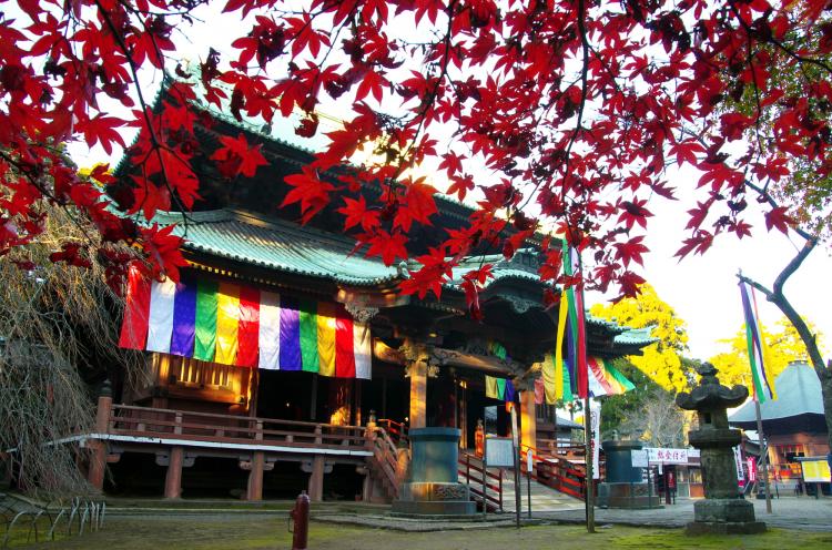鹿野山神野寺