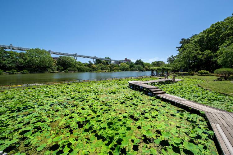 千葉公園