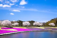 東京ドイツ村