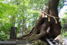 笠森寺