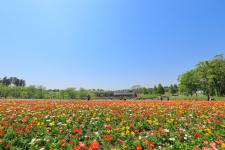 富田さとにわ耕園（千葉市富田都市農業交流センター）