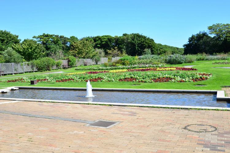 稲毛海浜公園 ドライブコンサルタント 稲毛海浜公園 ドライブコンサルタント