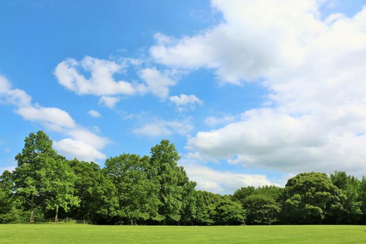 青葉の森公園