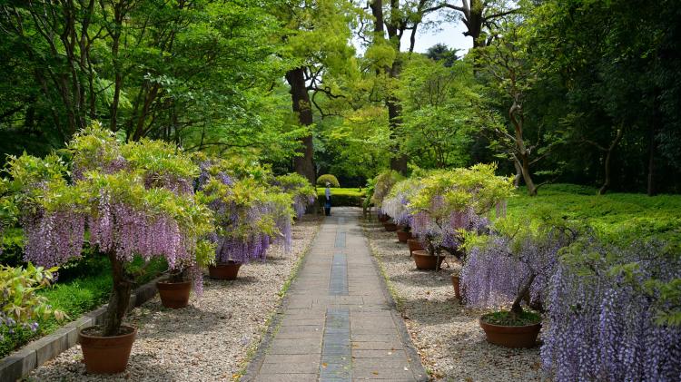 戸定が丘歴史公園(旧徳川家松戸戸定邸)
