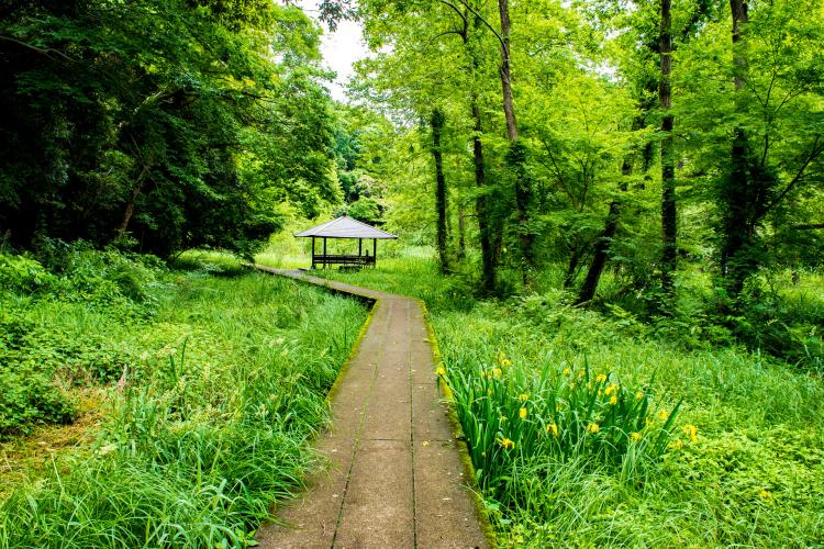 市川市動植物園
