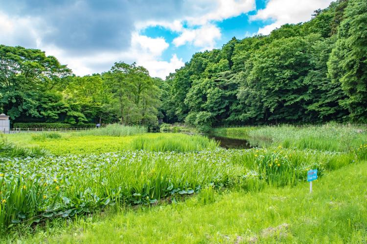 市川市動植物園