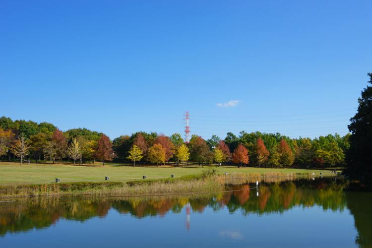 北総花の丘公園