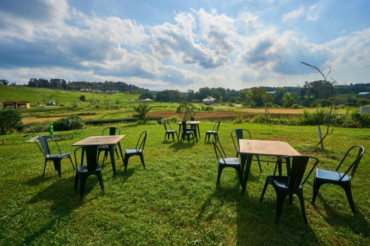 クルックフィールズ(KURKKU FIELDS)