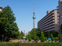 大横川親水公園