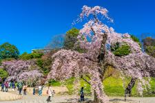 小石川後楽園