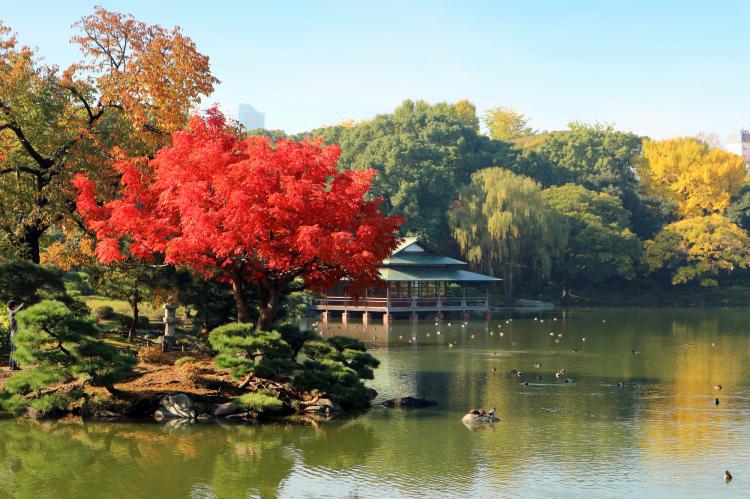 清澄庭園