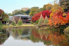 肥後細川庭園（新江戸川公園）
