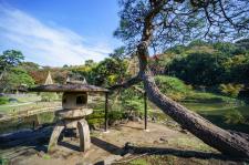 肥後細川庭園（新江戸川公園）