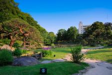 肥後細川庭園（新江戸川公園）