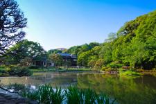 肥後細川庭園（新江戸川公園）