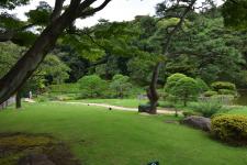 肥後細川庭園（新江戸川公園）