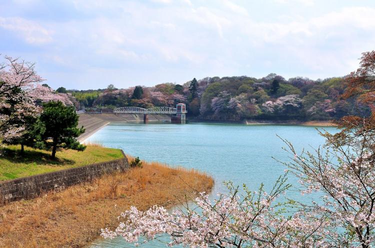 多摩湖(村山貯水池)