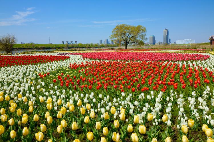 都市農業公園