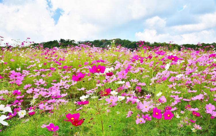 都市農業公園